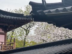 -寒山寺