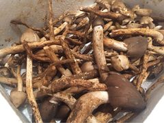 iphone_upload_pic-鲍国演义(禅城店)