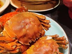 清蒸大闸蟹-蟹榭·本帮江浙菜·蟹宴(五角场合生汇商场店)