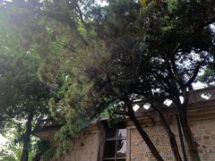 -紫金山天文台