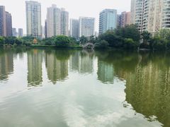 -四海公园(南山区)