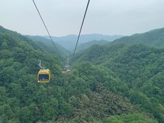 -栾川竹海野生动物园