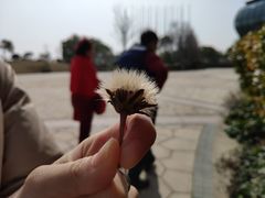 -上海滴水湖皇冠假日酒店