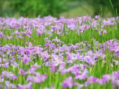 -古宇湖风景名胜区
