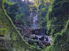 -鼎湖山风景区
