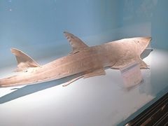 -常州海昌海洋探索馆