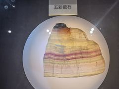 -陕西自然博物馆