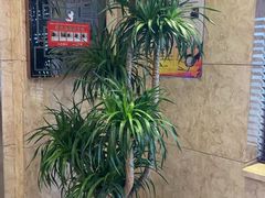 -和毅足道·轻奢SPA·按摩(万家丽路店)