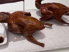 -侨美·唐荔园·40年地道粤菜