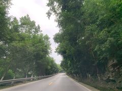 -丰都鬼城名山景区