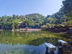 -西双版纳原始森林公园