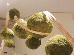 -点心传说·粤菜点心(佐阾虹湾店)