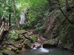 -本溪汤沟绿石谷森林公园