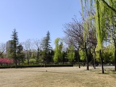 -咸阳湖景区