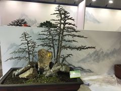 -东南花都花博园