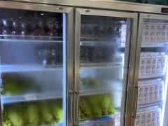 -雾与山茶(大禹城店)