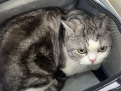 -美联众合动物医院·24h京西诊疗中心