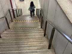 -桃浦新村(地铁站)