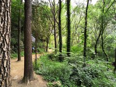 -碓臼峪自然风景区