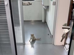 -心仪动物医院·牙专科·肿瘤·心脏科(西客站院)