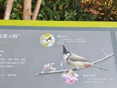 -云溪植物园