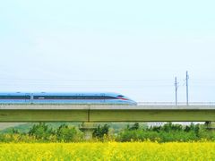 -光明小镇欢乐田园