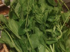 鲜菜拼盘-巴奴毛肚火锅(龙湖锦艺城店)