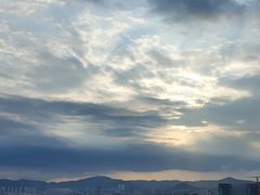-大连君悦酒店·星海湾壹号Dalian·Dalian(星海广场店)