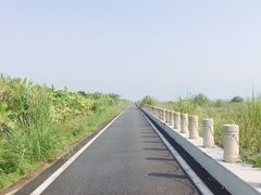 -芒洲湿地公园