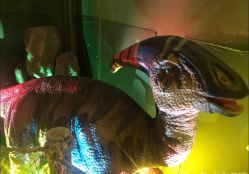 -恐龙探索乐园(磁器口店)