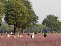 -汉长安城未央宫国家考古遗址公园