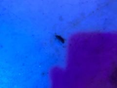 -淀里船宴(卓达店)