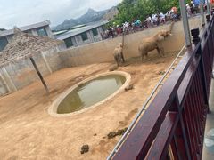 -西霞口神雕山野生动物世界