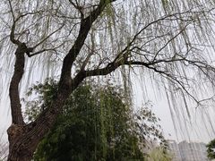 -堤角公园
