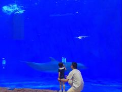 -华夏文旅海洋公园