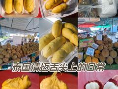 -瓦洛洛传统市场