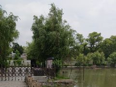 -八大山人梅湖景区