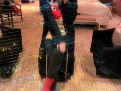 -拉斯维加斯永利酒店