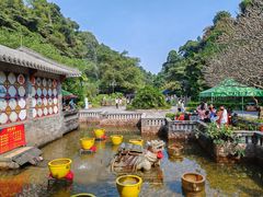 -鼎湖山风景区