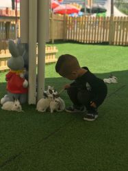 -萌宠亲子动物乐园(槐房万达店)