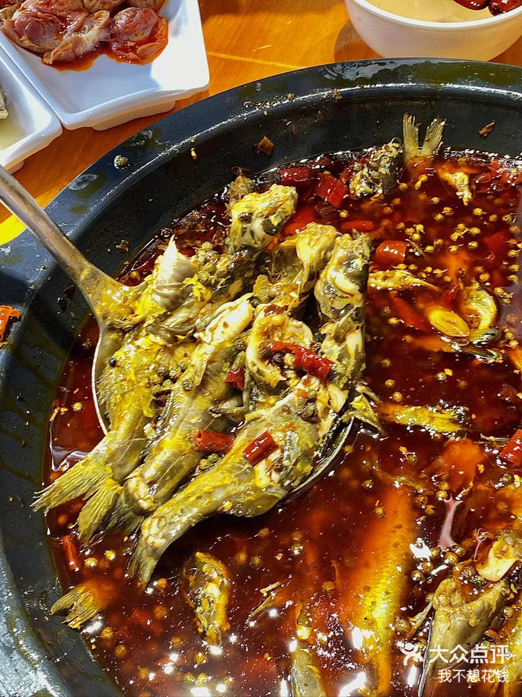 四季渔歌你就是我的鱼蛙天花板