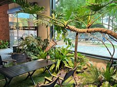 -J Create城市露营咖啡·简餐·宠物(上海动物园店)