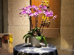 -老船坞水上餐厅(亚洲大酒店  东四十条店)