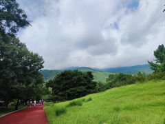 -茶百道(惠新东街店)