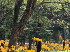 -杭州植物园