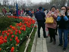 -白鹭湾湿地公园