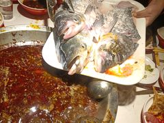 -蜀滋香鲜鱼美蛙火锅(339店)