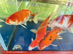 -元盛居(生态大街店)