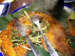-雀舞云南菜(乐客城店)