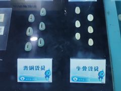 -贝壳梦幻世界